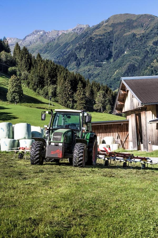 Oberlehenhof Villa Kaprun Luaran gambar